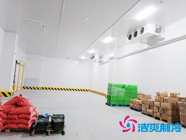 食品榴莲网站官网