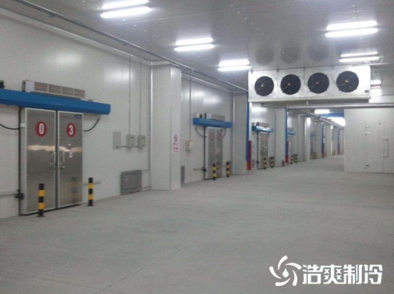 预冷榴莲网站官网建设