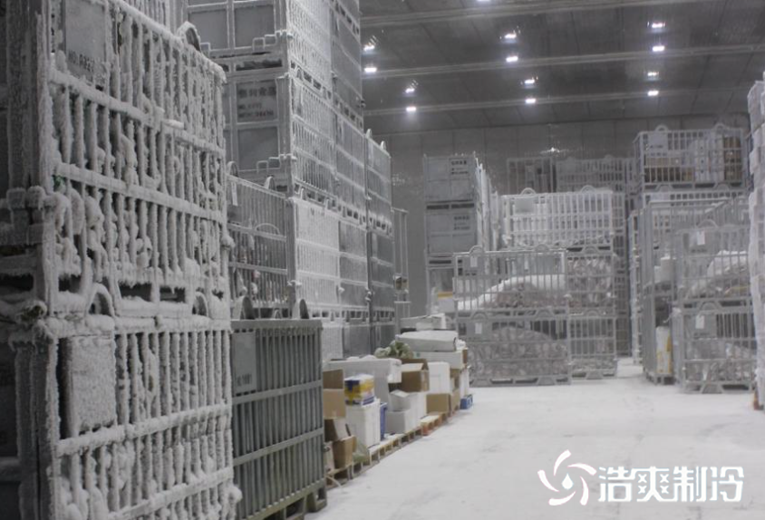 超低温榴莲网站官网建造
