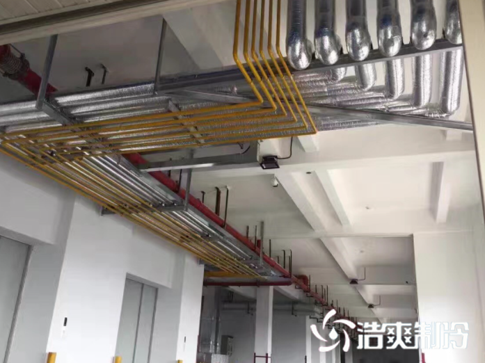 氟利昂系统_榴莲视频在线观看下载制冷