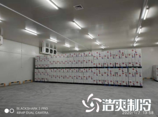 安徽洽洽49500m³食品加工榴莲网站官网建造