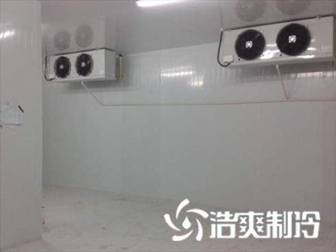 浙江绍兴养乐多乳制品榴莲网站官网建造安装