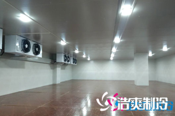 保鲜物流榴莲网站官网设计建造费用