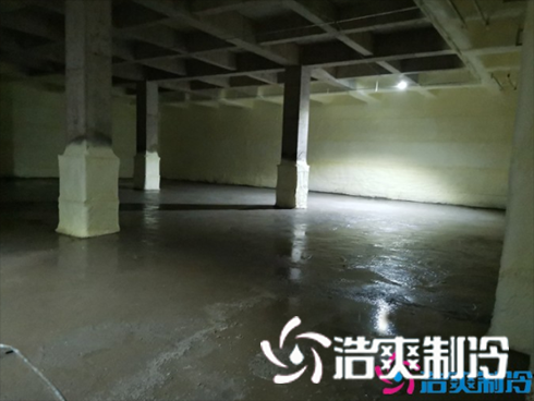 食品速冻榴莲网站官网建造安装
