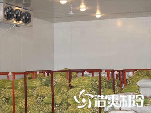 果蔬榴莲网站官网建造价格