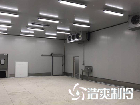 榴莲网站官网建造费用