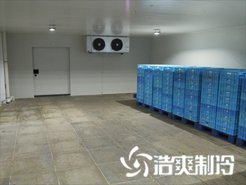 食品榴莲网站官网建造价格