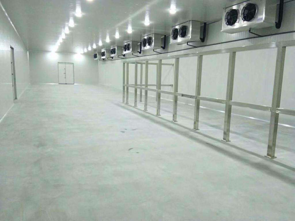 榴莲视频在线观看下载制冷、海鲜榴莲网站官网