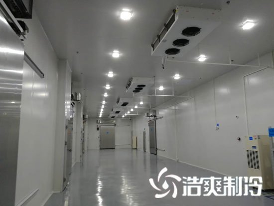 月饼低温仓库