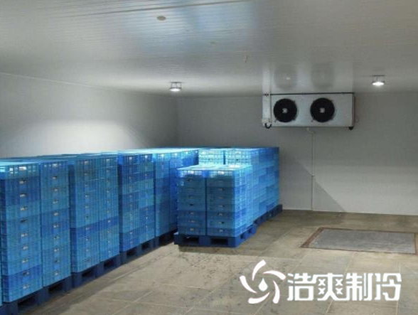 餐饮榴莲网站官网建设