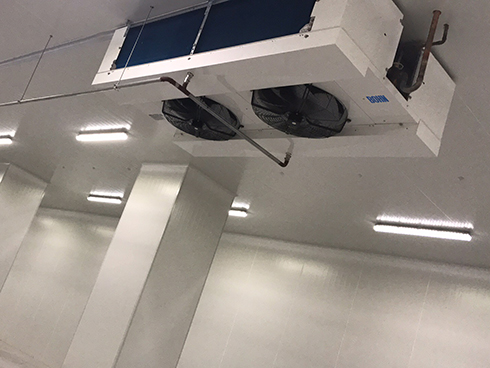 河北周黑鸭新工厂项目1#车间榴莲网站官网建造工程案例