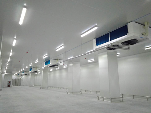 河北周黑鸭新工厂项目1#车间榴莲网站官网建造工程案例