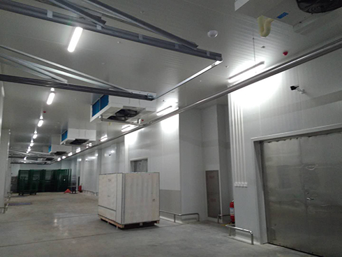 河北周黑鸭新工厂项目1#车间榴莲网站官网建造工程案例